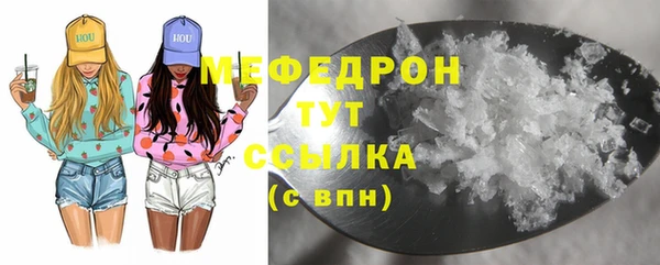 индика Струнино