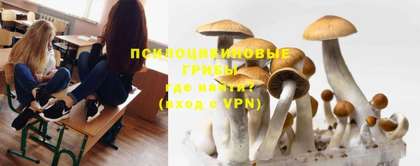 соль курить ск Тайга
