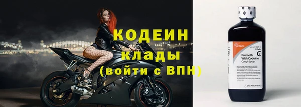 сатива Тавда