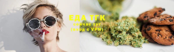 индика Струнино