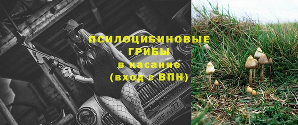 МДПВ Строитель