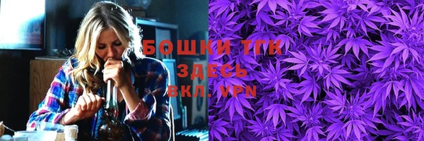 сатива Тавда