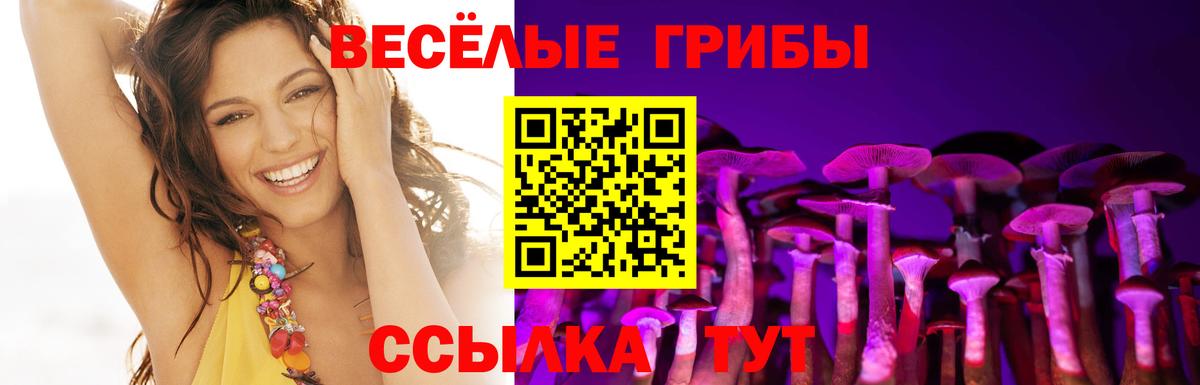 Псилоцибиновые грибы MAGIC MUSHROOMS  Псилоцибиновые грибы ЛСД  Алапаевск 